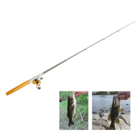 Pocket Pen Fishing Rod Pole with Golden Baitcasting